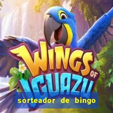 sorteador de bingo 90 bolas online